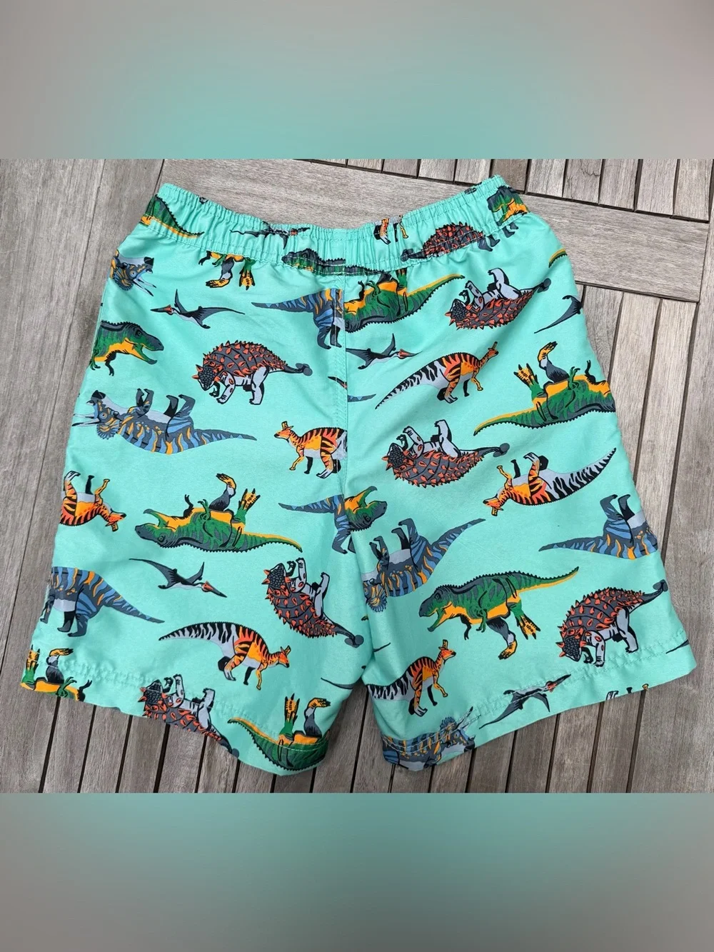 KIDS HANNA ANDERSSON Dinosaur Print Swim Trunks - Aqua - SIZE 10